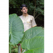 Kerala Striped Kasavu Cotton Half Sleeve Short Kurta