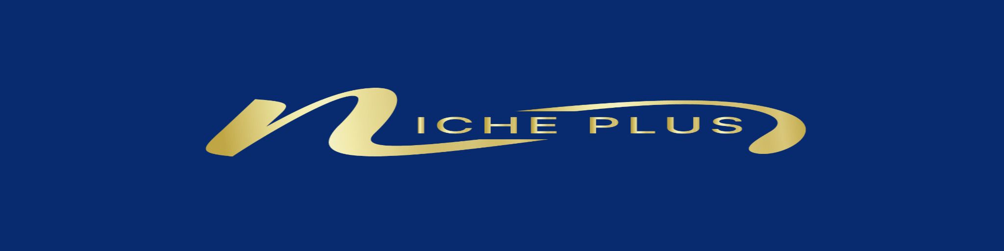 Piinaacle International